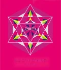 2014 2NE1 World Tour Live  [All or Nothing in Seoul] (2CD) Cover