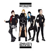 2NE1 BEST COLLECTION -Korea Edition-  Photo