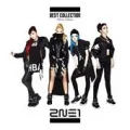 2NE1 BEST COLLECTION -Korea Edition- (Digital) Cover