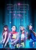 2014 2NE1 WORLD TOUR ~ALL OR NOTHING~ in JAPAN Cover
