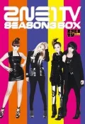 2NE1 TV SEASON3 BOX Cover
