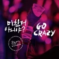 Michingeo Aniya?  (미친거 아니야?) (GO CRAZY!)  (2CD Grand Edition) Cover