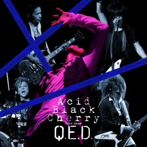 Acid Black Cherry 2009 tour "Q.E.D." LIVE Photo