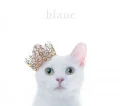 BEST SELECTION &quot;blanc&quot; (CD+DVD) Cover