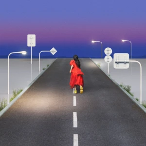 Venus Belt (ビーナスベルト)  Photo