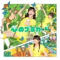 Kokoro no Placard (心のプラカード) (CD+DVD Regular Edition C) Cover