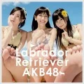 Labrador Retriever (ラブラドール・レトリバー) (CD+DVD Limited Edition 4) Cover