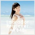 Labrador Retriever (ラブラドール・レトリバー) (CD+DVD Regular Edition 4) Cover