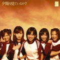 Yuuhi wo Miteiru ka? (夕陽を見ているか？) (CD Limited Edition)  Cover