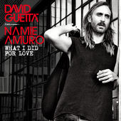 David Guetta - What I Did for Love (feat. Namie Amuro)  Photo