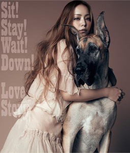 Sit! Stay! Wait! Down! / Love Story  Photo