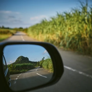 California (カリフォルニア)  Photo