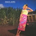 WAVE (Blu-spec CD Reissue 2011) Cover