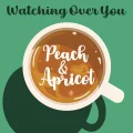 Ultimo singolo di ANRI: Watching Over You (Peach & Apricot, Mariya Takeuchi & Anri)