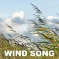 Wind Song Cover
