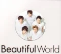 Beautiful World (Limited  Edition) Cover
