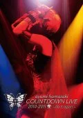 ayumi hamasaki COUNTDOWN LIVE 2010-2011 A ～do it again～ Cover