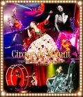 ayumi hamasaki ARENA TOUR 2015 A Cirque de Minuit 〜Mayonaka no Circus〜 The FINAL (ayumi hamasaki ARENA TOUR 2015 A Cirque de Minuit 〜真夜中のサーカス〜 The FINAL) (2DVD TeamAyu Edition) Cover