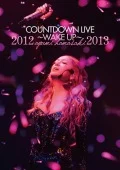 ayumi hamasaki COUNTDOWN LIVE 2012-2013 A ～WAKE UP～  Cover