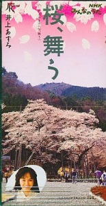 Sakura, Mau (桜、舞う)  Photo