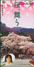 Sakura, Mau (桜、舞う)  Cover
