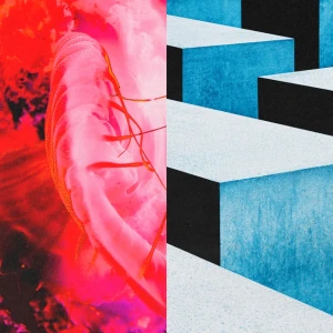 Tatsuya Kitani - Kasuka na Hana (かすかなはな)  Photo