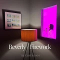 Firework Cover