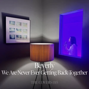 We Are Never Ever Getting Back Together  Photo