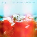 Life is beautiful / HiDE the BLUE (CD+DVD) Cover