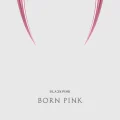BORN PINK Cover
