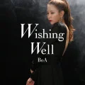 Wishing Well  (Digital) Cover