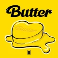 Butter Cover