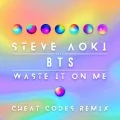 Steve Aoki  - Waste It on Me (feat. BTS) (Digital Cheat Codes Remix) Cover