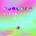 Steve Aoki  - Waste It on Me (feat. BTS) (Digital Steve Aoki the Bold Tender Sneeze Remix) Cover