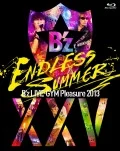 B'z LIVE-GYM Pleasure 2013 ENDLESS SUMMER -XXV BEST- (2BD) Cover