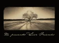 B'z presents LIVE FRIENDS Cover