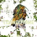 Marley Waters  - Transitions (Digital) Cover