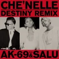 Destiny (Digital Remix feat. AK-69 & SALU) Cover