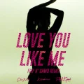 Love You Like Me feat. Konshens (Digital FlipN'Gawd Remix) Cover