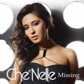 Missing (Digital Single) Cover