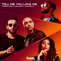TWOPILOTS, AALLAR - Tell Me You Love Me feat. Che'Nelle Cover