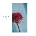Dai Renai (大恋愛) Cover
