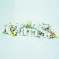 ClariS ~SINGLE BEST 1st~ (CD+DVD) Cover