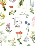 Iris Cover