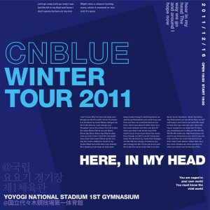 Live-2011 Winter Tour -In My Head-  Photo