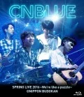 SPRING LIVE 2016 ～We're like a puzzle～ @NIPPON BUDOKAN (BOICE Limited Edition) Cover