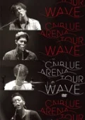 2014 ARENA TOUR “WAVE” @OSAKA-JO HALL (BOICE Limited Edition) Cover