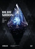 CNBLUE 2013 WORLD TOUR LIVE IN SEOUL BLUE MOON (2DVD) Cover