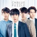 Puzzle (CD+DVD BOICE Limited Edition) Cover