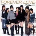 Single V: FOREVER LOVE Cover